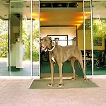 A-austerlitz Hotel